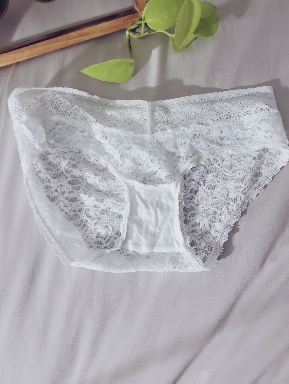 AERIE White Lace Low Rise Bikini Briefs - Picture 4 of 8